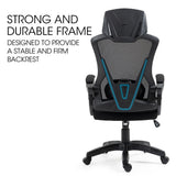 Office & Desk Chairs: FORTIA Ergonomic Office Desk Chair, Height Adjustable Lumbar Support, Mesh Fabric, Headrest, Black