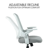 Office & Desk Chairs: Fortia Ergonomic Office Desk Chair, Coolmesh Fabric, Adjustable Recline, Grey Mesh/White Frame