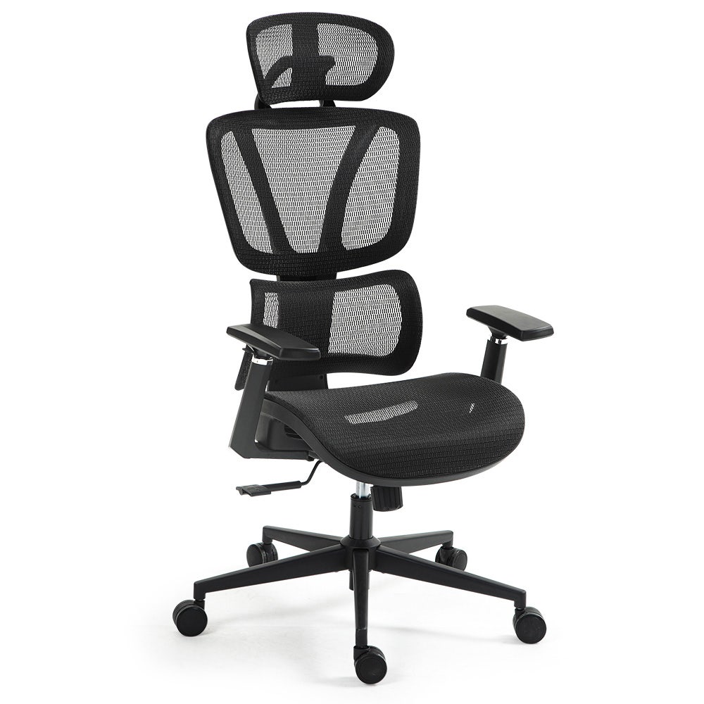Office & Desk Chairs: Fortia Ergonomic Office Desk Chair, Coolmesh Fabric, Adjustable Lumbar Support, Headrest, Armrest and Recline, Black Mesh/Black Frame