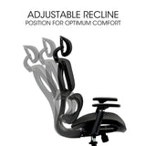 Office & Desk Chairs: Fortia Ergonomic Office Desk Chair, Coolmesh Fabric, Adjustable Lumbar Support, Headrest, Armrest and Recline, Black Mesh/Black Frame