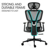 Office & Desk Chairs: Fortia Ergonomic Office Desk Chair, Coolmesh Fabric, Adjustable Lumbar Support, Headrest, Armrest and Recline, Black Mesh/Black Frame