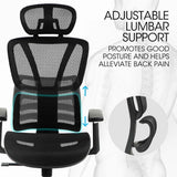Office & Desk Chairs: Fortia Ergonomic Office Desk Chair, Coolmesh Fabric, Adjustable Lumbar Support, Headrest, Armrest and Recline, Black Mesh/Black Frame