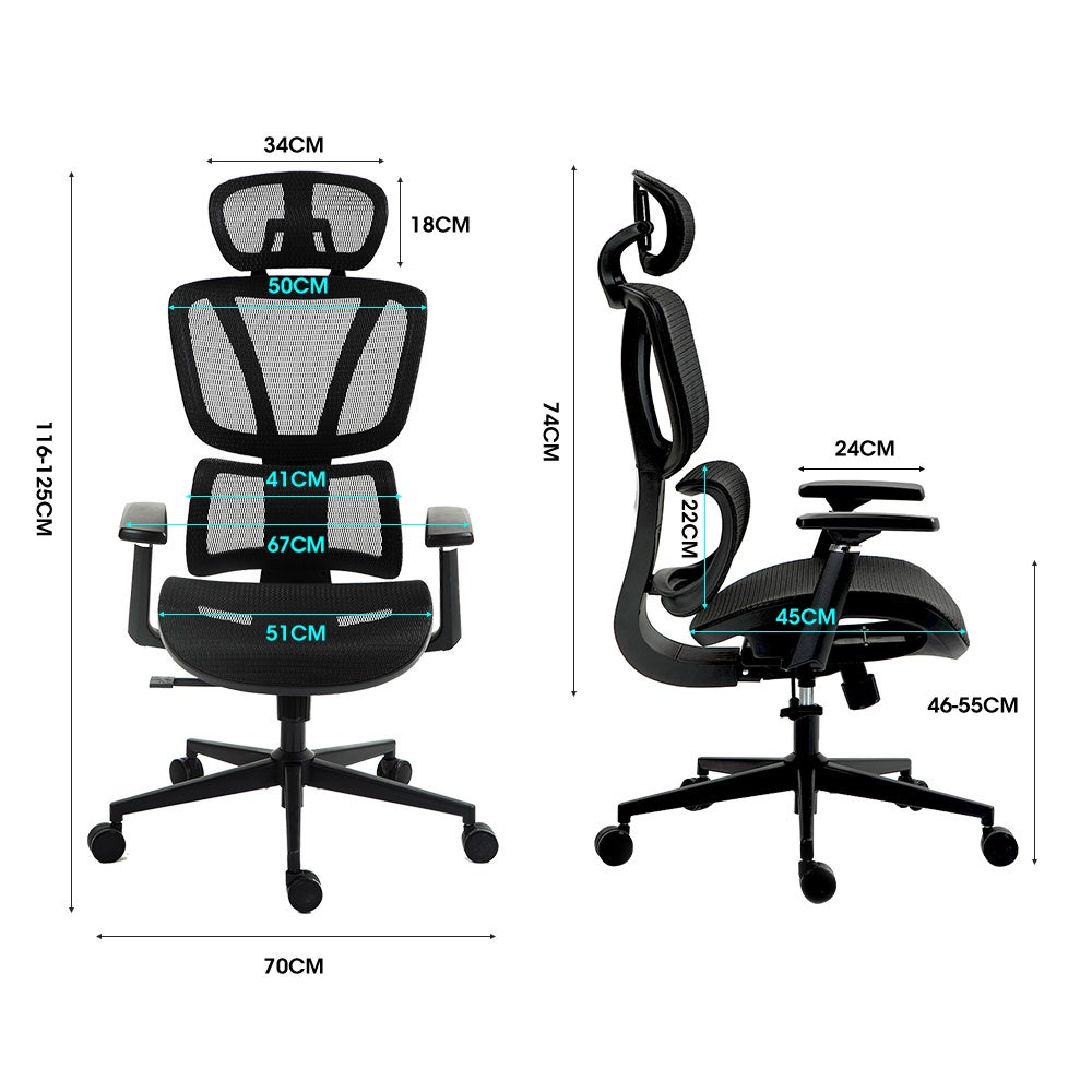 Office & Desk Chairs: Fortia Ergonomic Office Desk Chair, Coolmesh Fabric, Adjustable Lumbar Support, Headrest, Armrest and Recline, Black Mesh/Black Frame