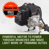 Outdoor Power Equipment: Baumr-AG 65CC Long Reach Pole Chainsaw Hedge Trimmer Pruner Chain Saw Tree Multi Tool