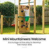 Outdoor Play Equipment: ROVO KIDS Ultimate Outdoor Monkey Bars Playset Frame, with Climbing Wall, Disc Swing, Rope Ladder