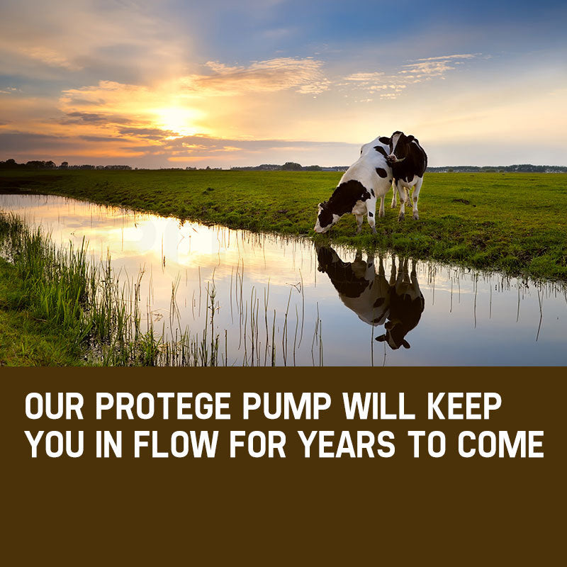 Irrigation Pumps: 1HP Submersible Bore Water Pump Deep Well Irrigation Stainless Steel 240V