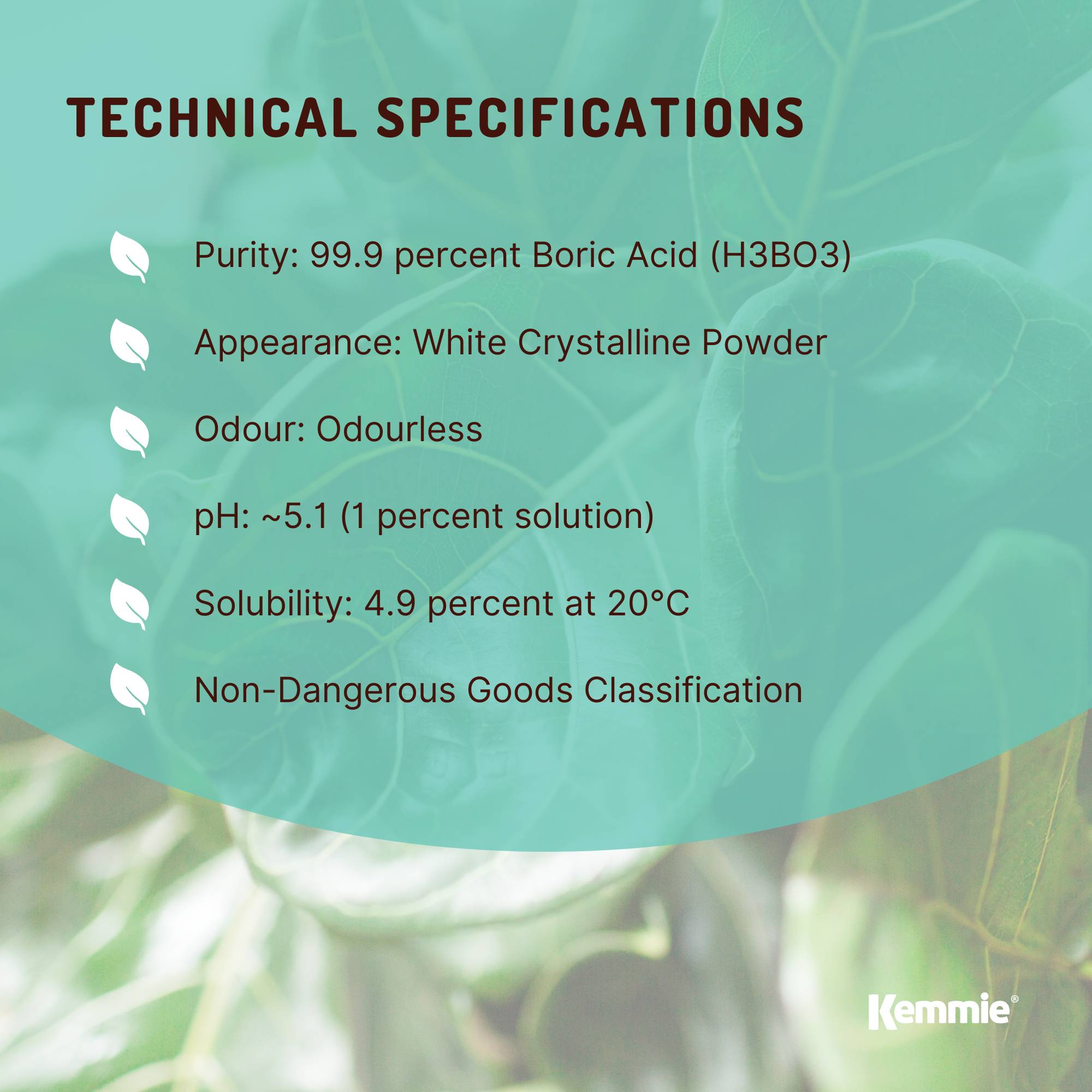 Kemmie 100g Boric Acid Powder 99.9% Pure - Soluble Orthoboric Acid H3BO3