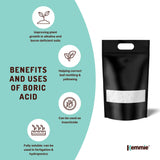 20Kg Boric Acid Powder High Purity Fully Soluble Granule Pest Ant Cockroaches