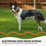 Electronic Dog Fence System -Invisible Electric Wireless TP16 Containment Collar