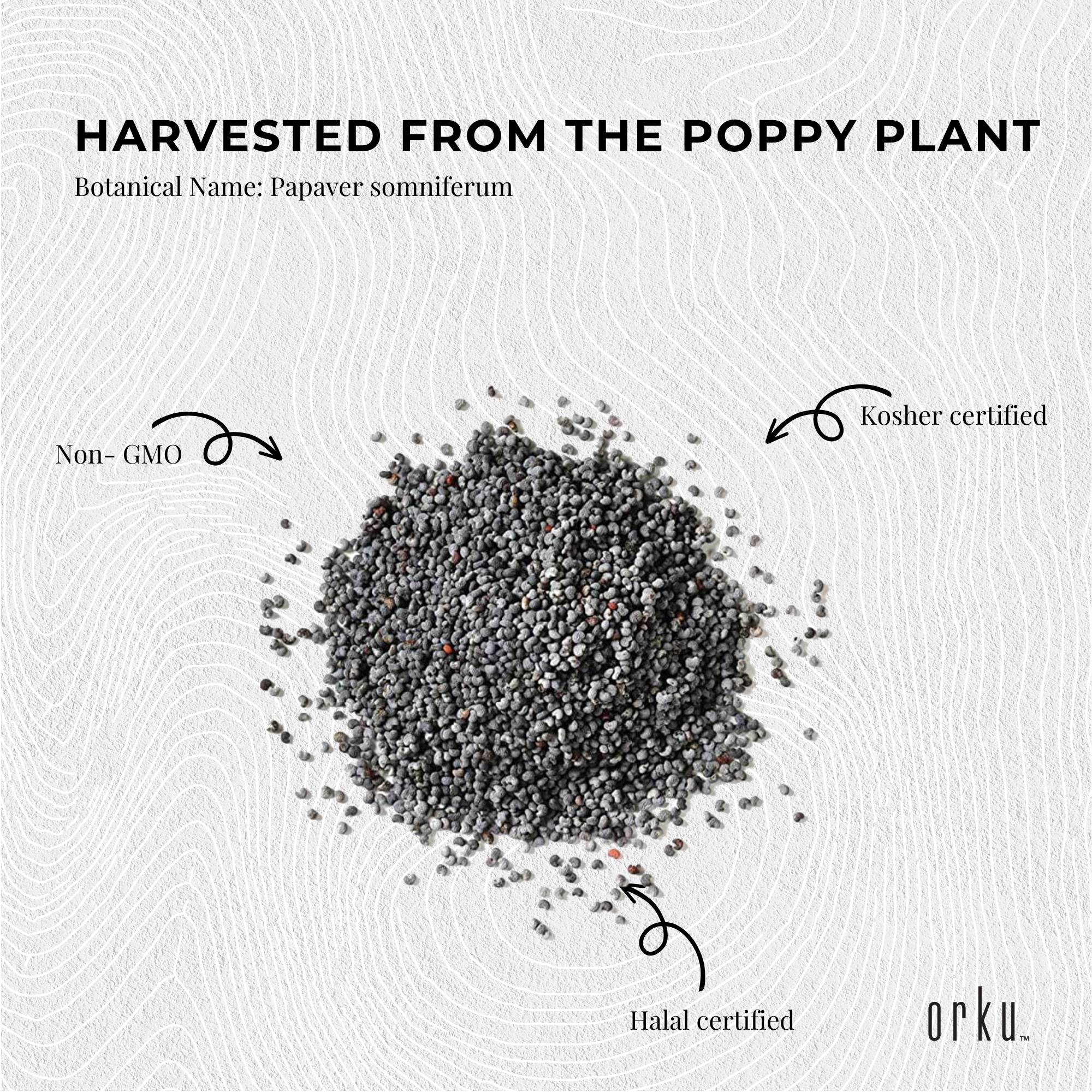 Condiments & Sauces: 400g Poppy Seeds Unwashed Papaver Somniferum For Baking and Decorating