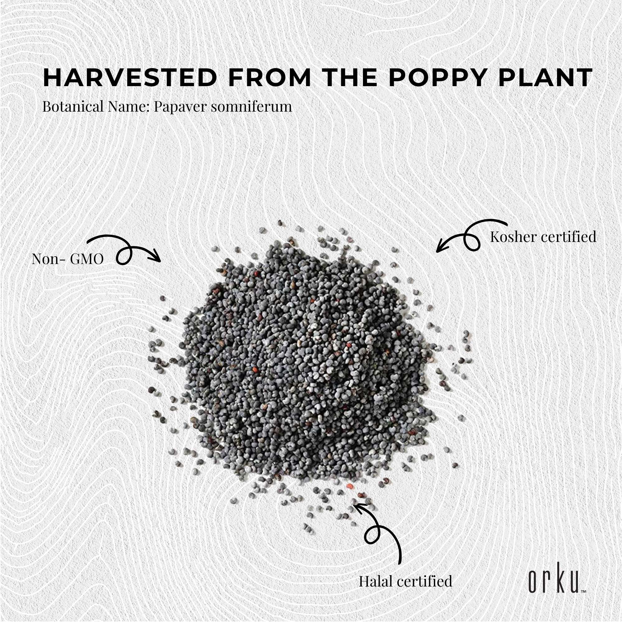 Orku 10Kg Poppy Seeds Unwashed Papaver Somniferum For Baking and Decorating