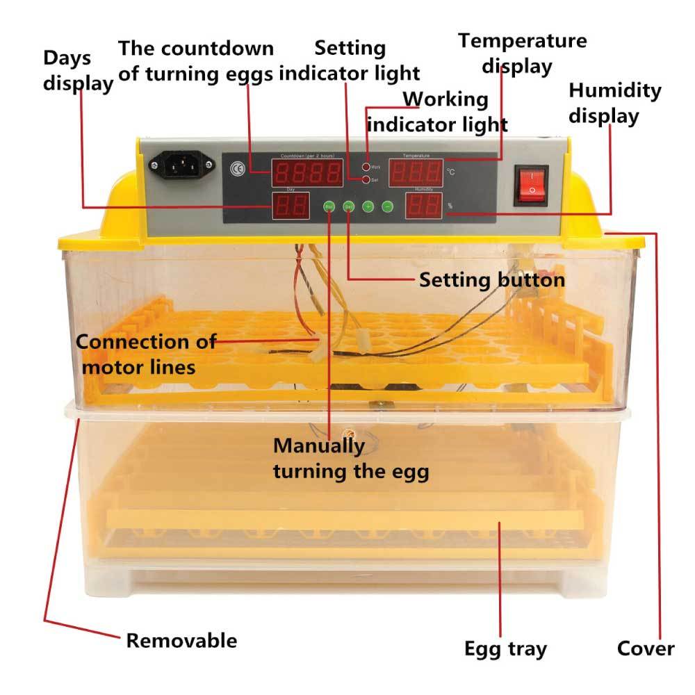Rooster Farms Electric 112 Egg Incubator + Accessories for Chicken Quail Duck
