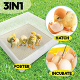 Coop & Hutch Accessories: Rooster Farms Electric 112 Egg Incubator + Accessories for Chicken Quail Duck