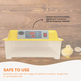 Coop & Hutch Accessories: Rooster Farms Electric 24 Egg Incubator + Accessories for Chicken Quail Duck