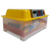 Coop & Hutch Accessories: Rooster Farms Electric 32 Egg Incubator + Accessories for Chicken Quail Duck