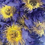 Teas & Accessories: Orku 10g Dried Blue Lotus Flowers - Whole Open Lily Nymphaea Caerulea