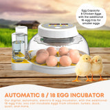 Coop & Hutch Accessories: Automatic 8 / 18 Egg Incubator - Electrical Turning Chicken Quail Duck Hatching