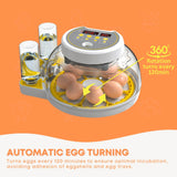 Coop & Hutch Accessories: Automatic 8 / 18 Egg Incubator - Electrical Turning Chicken Quail Duck Hatching