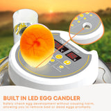 Coop & Hutch Accessories: Automatic 8 / 18 Egg Incubator - Electrical Turning Chicken Quail Duck Hatching