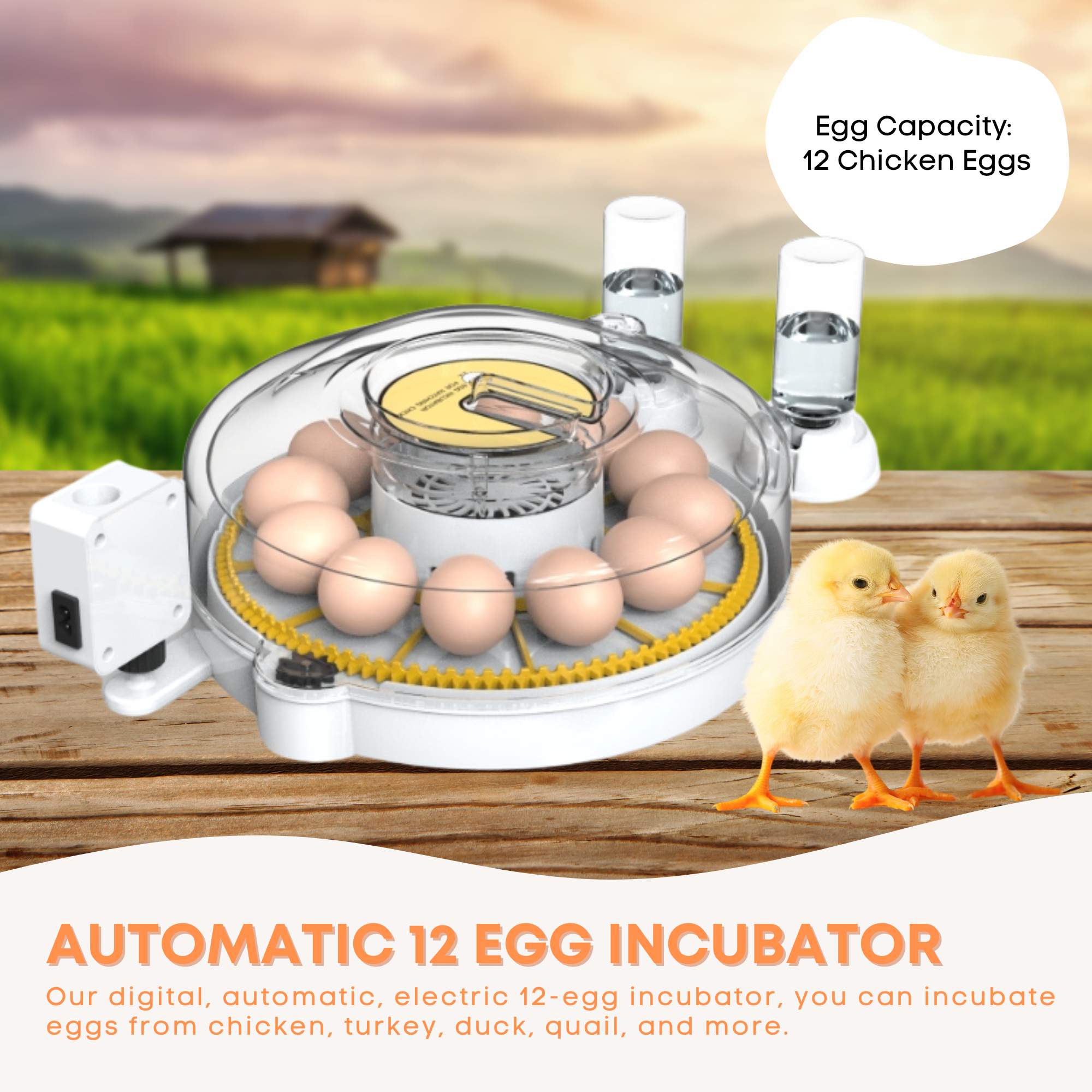 Coop & Hutch Accessories: Automatic 12 Egg Incubator - Electric Digital Turning Chicken Quail Duck Hatching