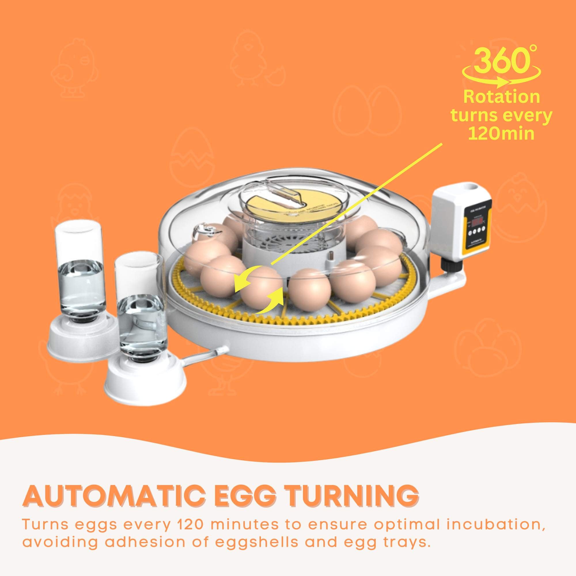 Coop & Hutch Accessories: Automatic 12 Egg Incubator - Electric Digital Turning Chicken Quail Duck Hatching