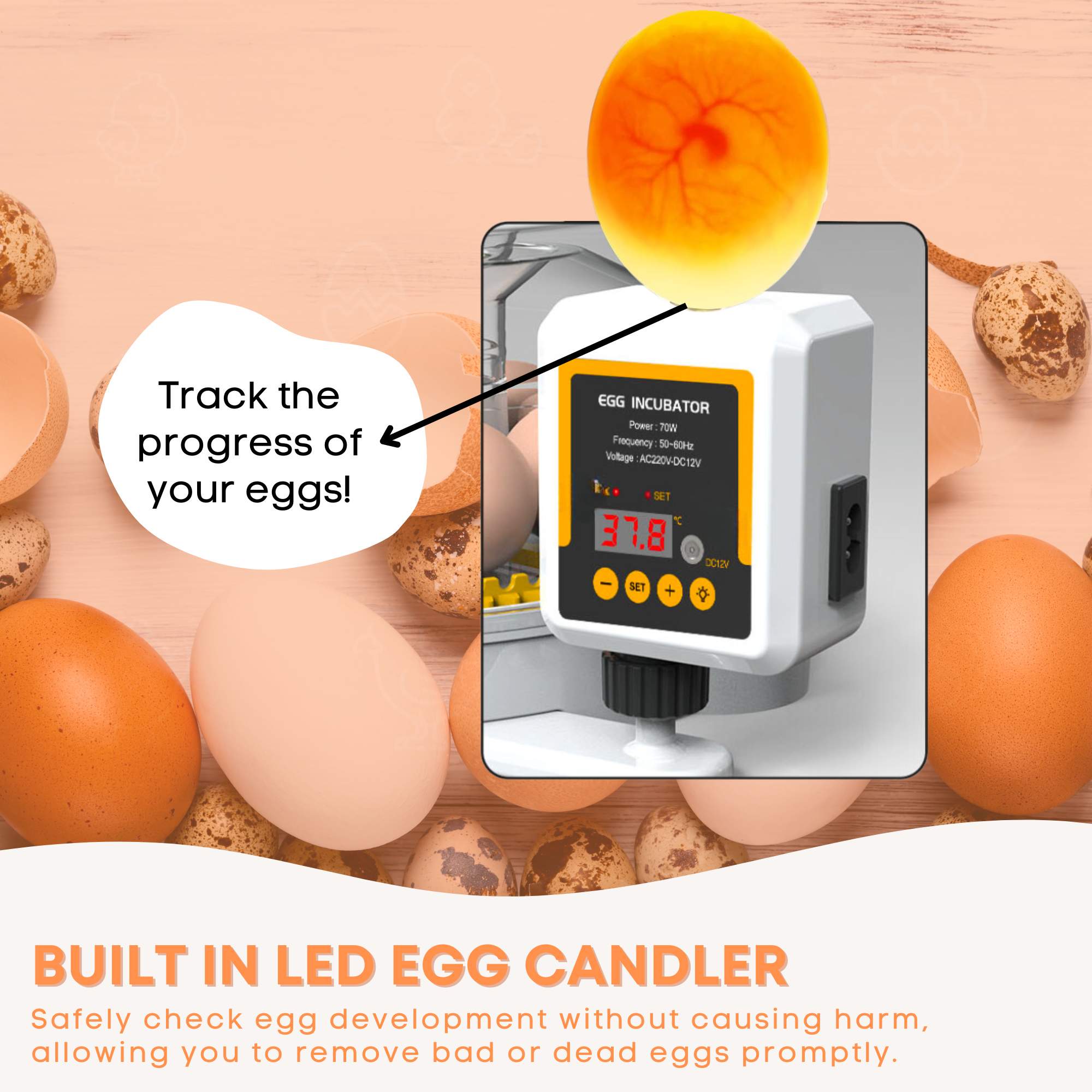Coop & Hutch Accessories: Automatic 12 Egg Incubator - Electric Digital Turning Chicken Quail Duck Hatching