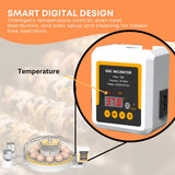 Coop & Hutch Accessories: Automatic 12 Egg Incubator - Electric Digital Turning Chicken Quail Duck Hatching