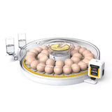 Coop & Hutch Accessories: Automatic 35 Egg Incubator - Electric Digital Turning Chicken Quail Duck Hatching