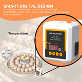 Coop & Hutch Accessories: Automatic 35 Egg Incubator - Electric Digital Turning Chicken Quail Duck Hatching