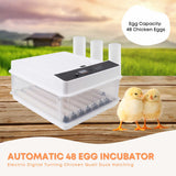 Coop & Hutch Accessories: Automatic 48 Egg Incubator - Electric Digital Turning Chicken Quail Duck Hatching