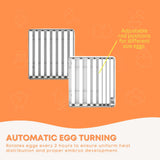 Coop & Hutch Accessories: Automatic 48 Egg Incubator - Electric Digital Turning Chicken Quail Duck Hatching