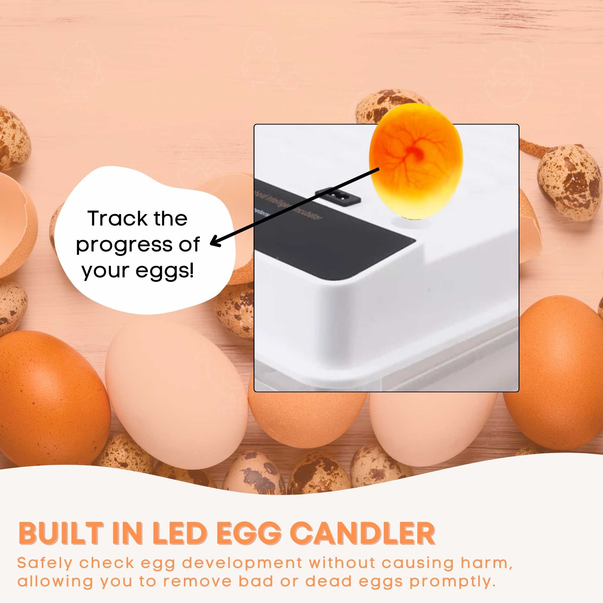 Automatic 48 Egg Incubator - Electric Digital Turning Chicken Quail Duck Hatching