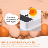 Coop & Hutch Accessories: Automatic 48 Egg Incubator - Electric Digital Turning Chicken Quail Duck Hatching
