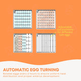 Coop & Hutch Accessories: Automatic 130 Egg Incubator - Electric Digital Turning Chicken Quail Duck Hatching