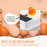 Coop & Hutch Accessories: Automatic 130 Egg Incubator - Electric Digital Turning Chicken Quail Duck Hatching
