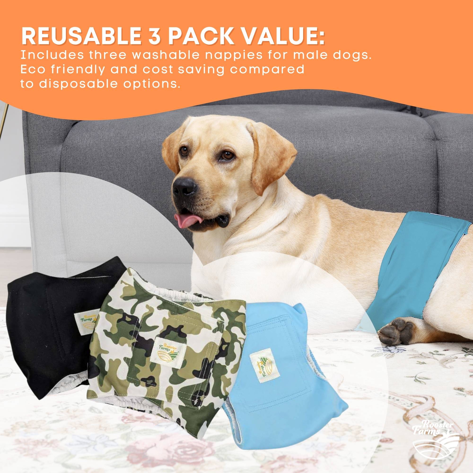 Dog Apparel: Rooster Farms Male Dog Diapers Small 3Pk - Washable Reusable Nappies Hook/Loop