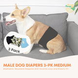 Dog Apparel: Rooster Farms Male Dog Diapers Medium 3Pk - Washable Reusable Nappies Hook/Loop