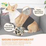 Dog Apparel: Rooster Farms Male Dog Diapers Medium 3Pk - Washable Reusable Nappies Hook/Loop