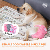 Dog Apparel: Rooster Farms Female Dog Diapers Large 3Pk - Washable Reusable Nappies Hook/Loop