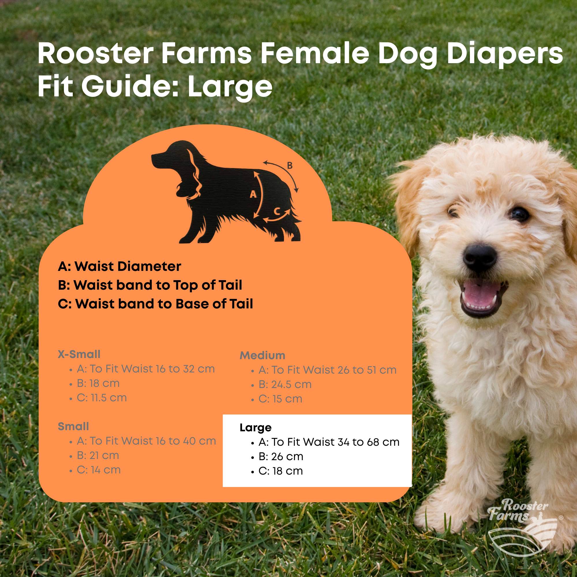 Dog Apparel: Rooster Farms Female Dog Diapers Large 3Pk - Washable Reusable Nappies Hook/Loop