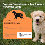 Dog Apparel: Rooster Farms Female Dog Diapers Large 3Pk - Washable Reusable Nappies Hook/Loop