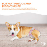 Dog Apparel: Rooster Farms Female Dog Diapers Large 3Pk - Washable Reusable Nappies Hook/Loop