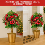 Christmas Decorations: Christabelle 36cm Christmas Tabletop Topiary Tree Pre-Decorated Berries, Baubles & Pine Cones Gold Pot Twisted Stem Festive Decoration