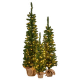 Christmas Trees: Christabelle Set of 3 Pre-Lit Christmas Trees Green Pine w/LED Lights, Hessian Base & Individual Plugs Varying Heights