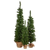Christmas Trees: Christabelle Set of 3 Pre-Lit Christmas Trees Green Pine w/LED Lights, Hessian Base & Individual Plugs Varying Heights