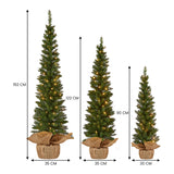 Christmas Trees: Christabelle Set of 3 Pre-Lit Christmas Trees Green Pine w/LED Lights, Hessian Base & Individual Plugs Varying Heights