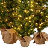 Christmas Trees: Christabelle Set of 3 Pre-Lit Christmas Trees Green Pine w/LED Lights, Hessian Base & Individual Plugs Varying Heights