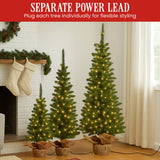 Christmas Trees: Christabelle Set of 3 Pre-Lit Christmas Trees Green Pine w/LED Lights, Hessian Base & Individual Plugs Varying Heights