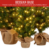 Christmas Trees: Christabelle Set of 3 Pre-Lit Christmas Trees Green Pine w/LED Lights, Hessian Base & Individual Plugs Varying Heights
