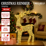 Outdoor Decorations & Lights: Christabelle Light Up Christmas Reindeer Display Indoor & Outdoor Decoration Warm White LED Lights Gold Bow Wire Frame